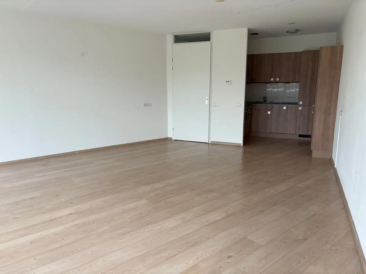 Image 4 of 21