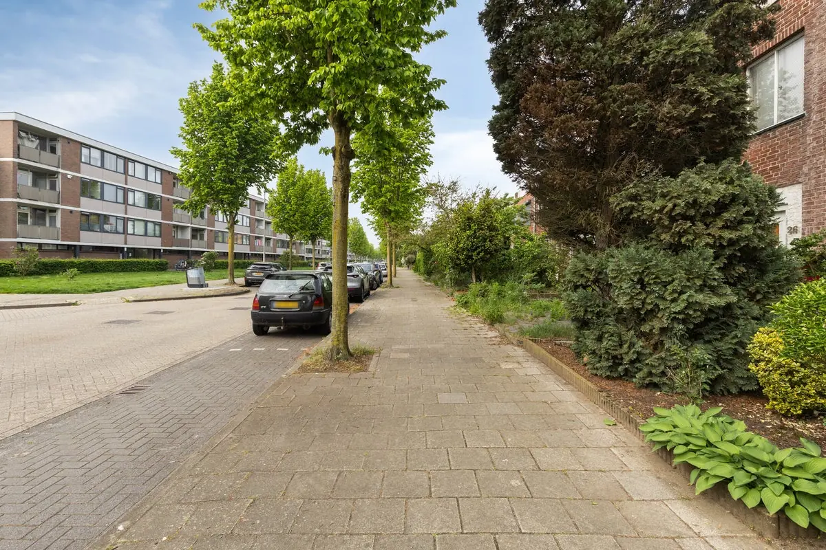 Afbeelding 29 van 29