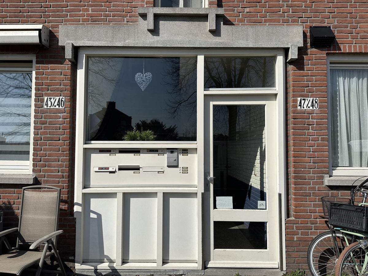 Afbeelding 2 van 21
