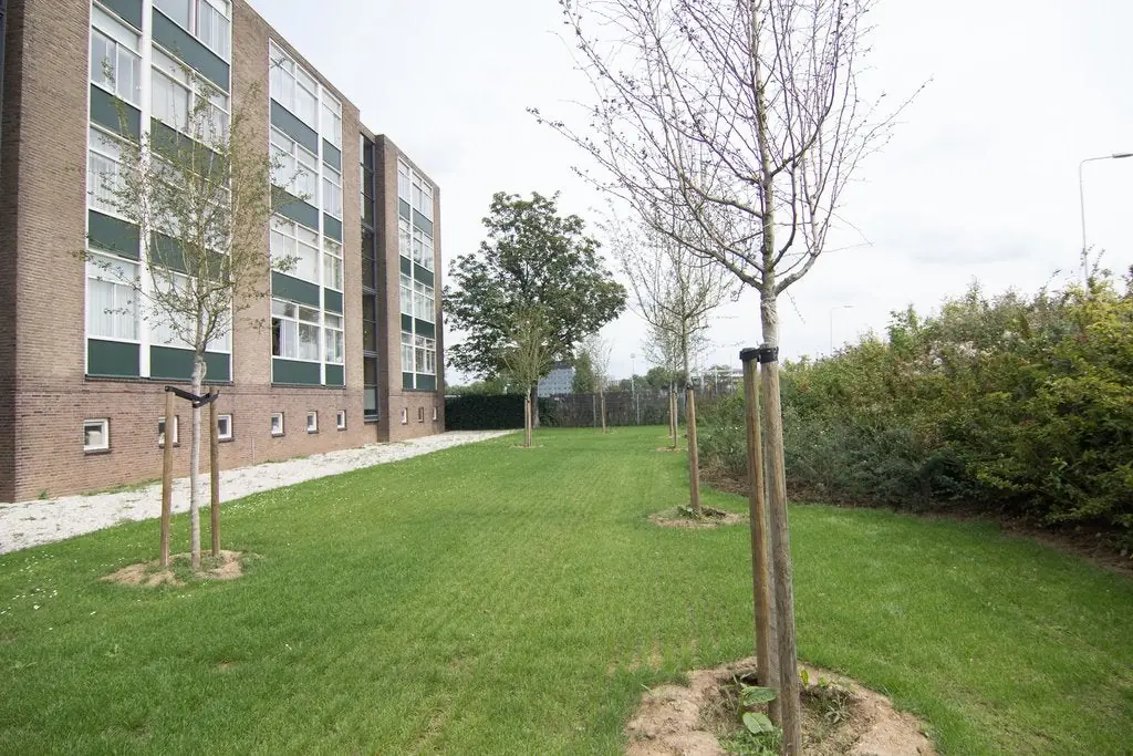 Image 13 of 13