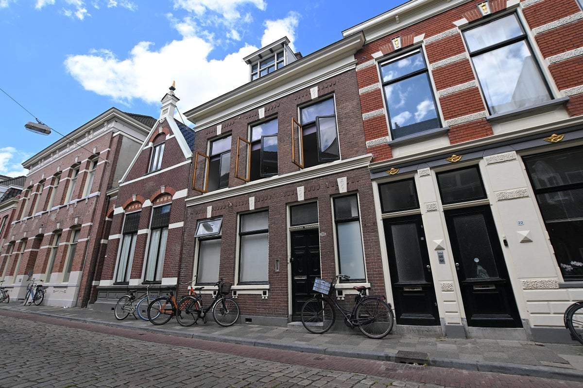 Afbeelding 1 van 23