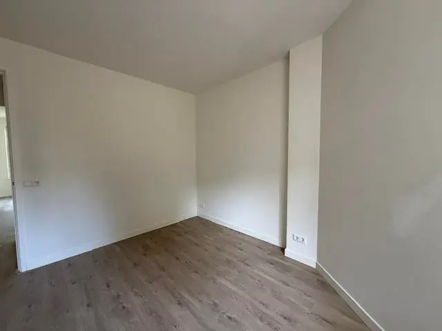 Image 7 of 12