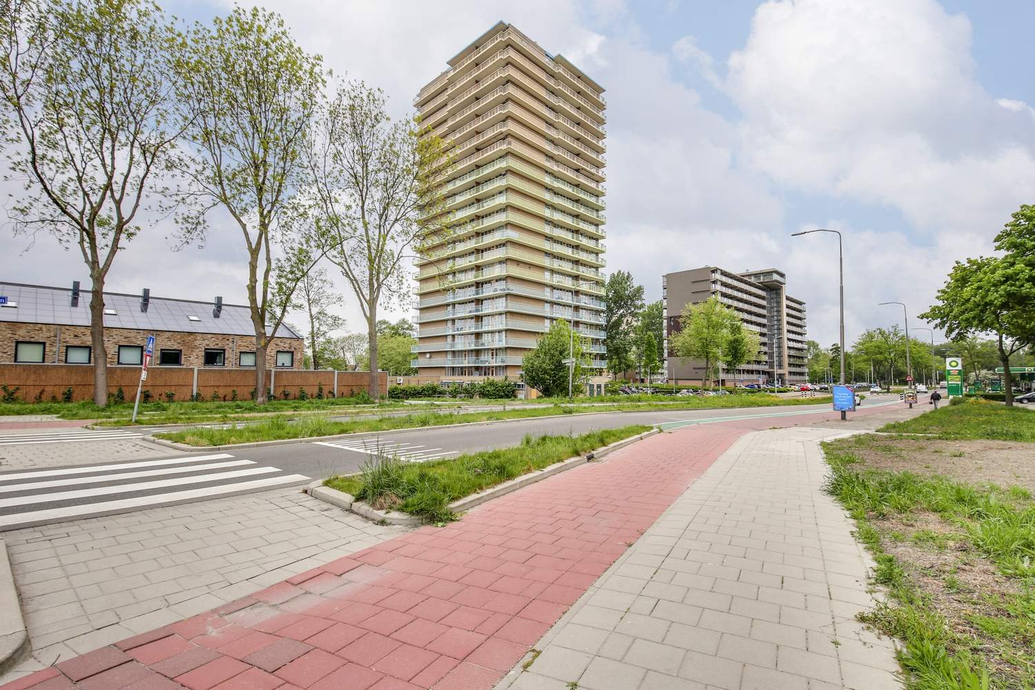 Afbeelding 3 van 9