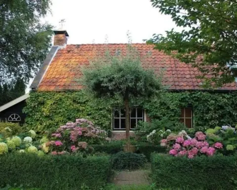 Apartamento sin amueblar - Koppeldijk, Houten