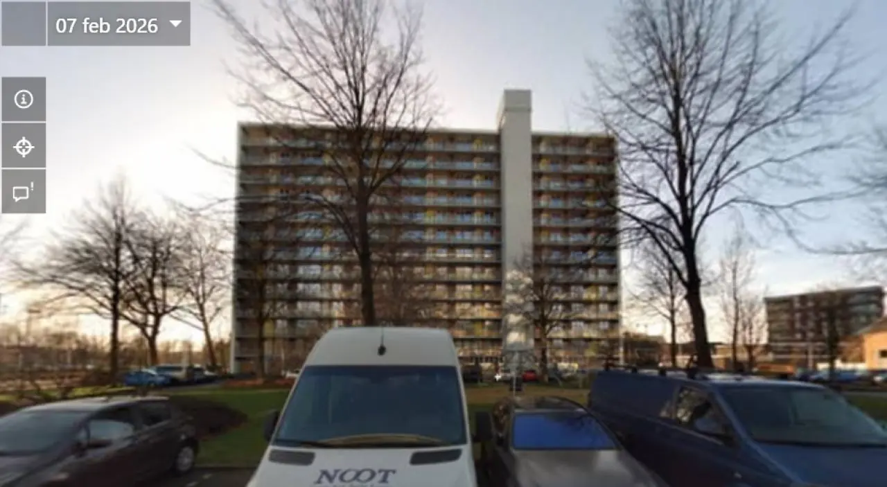 Afbeelding 1 van 9