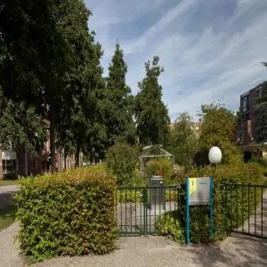 Image 11 of 16