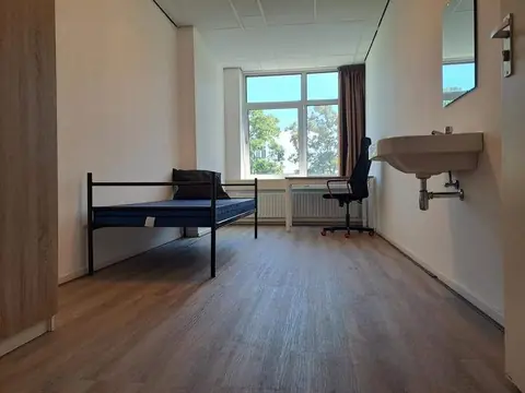 Chambre meublée Tourniairestraat, Amsterdam - À louer