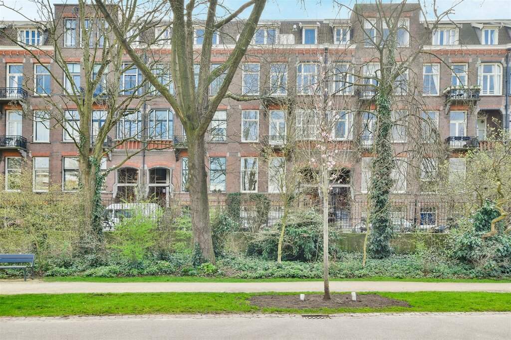 Afbeelding 1 van 12
