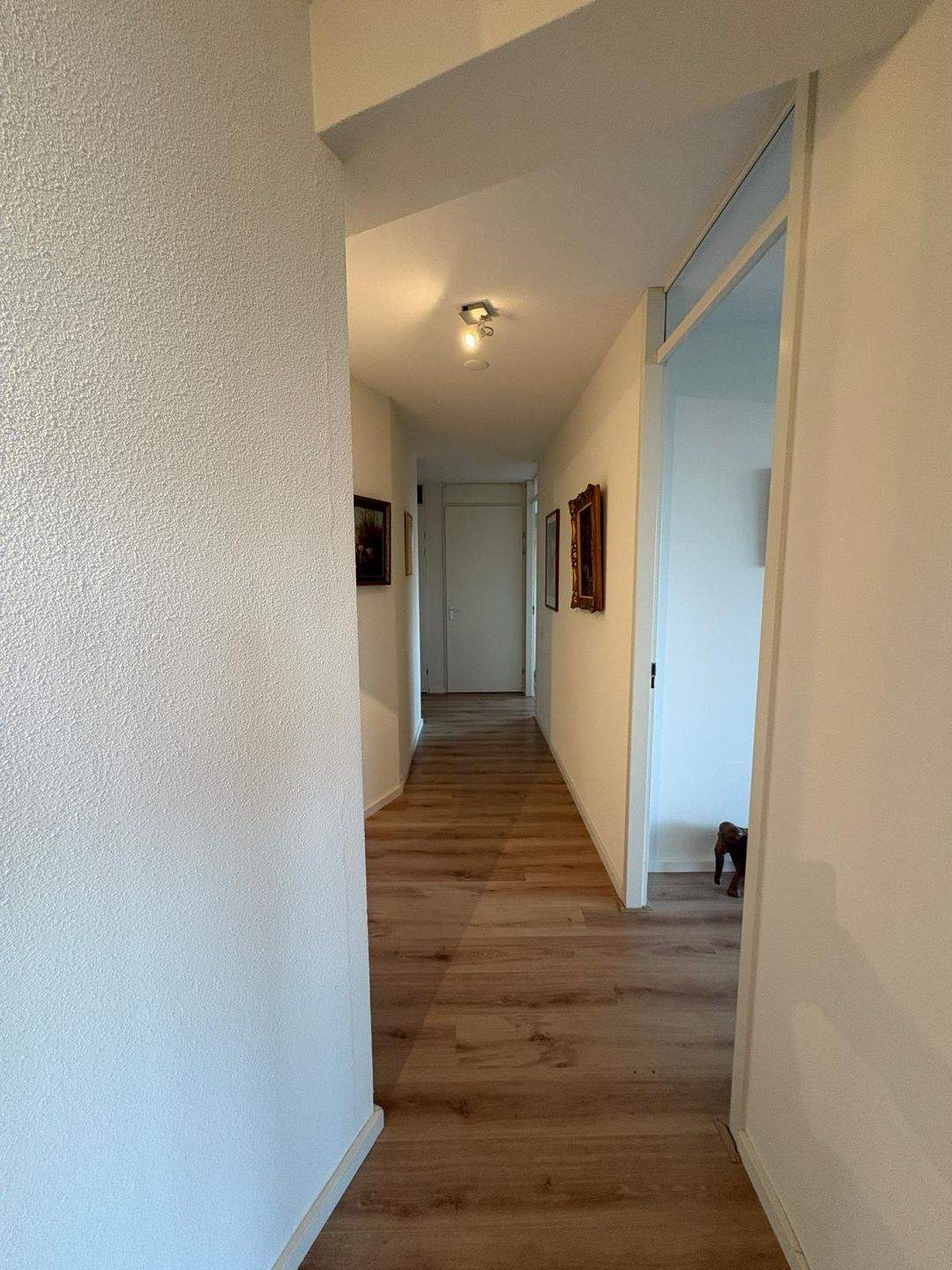 Bild 31 von 39