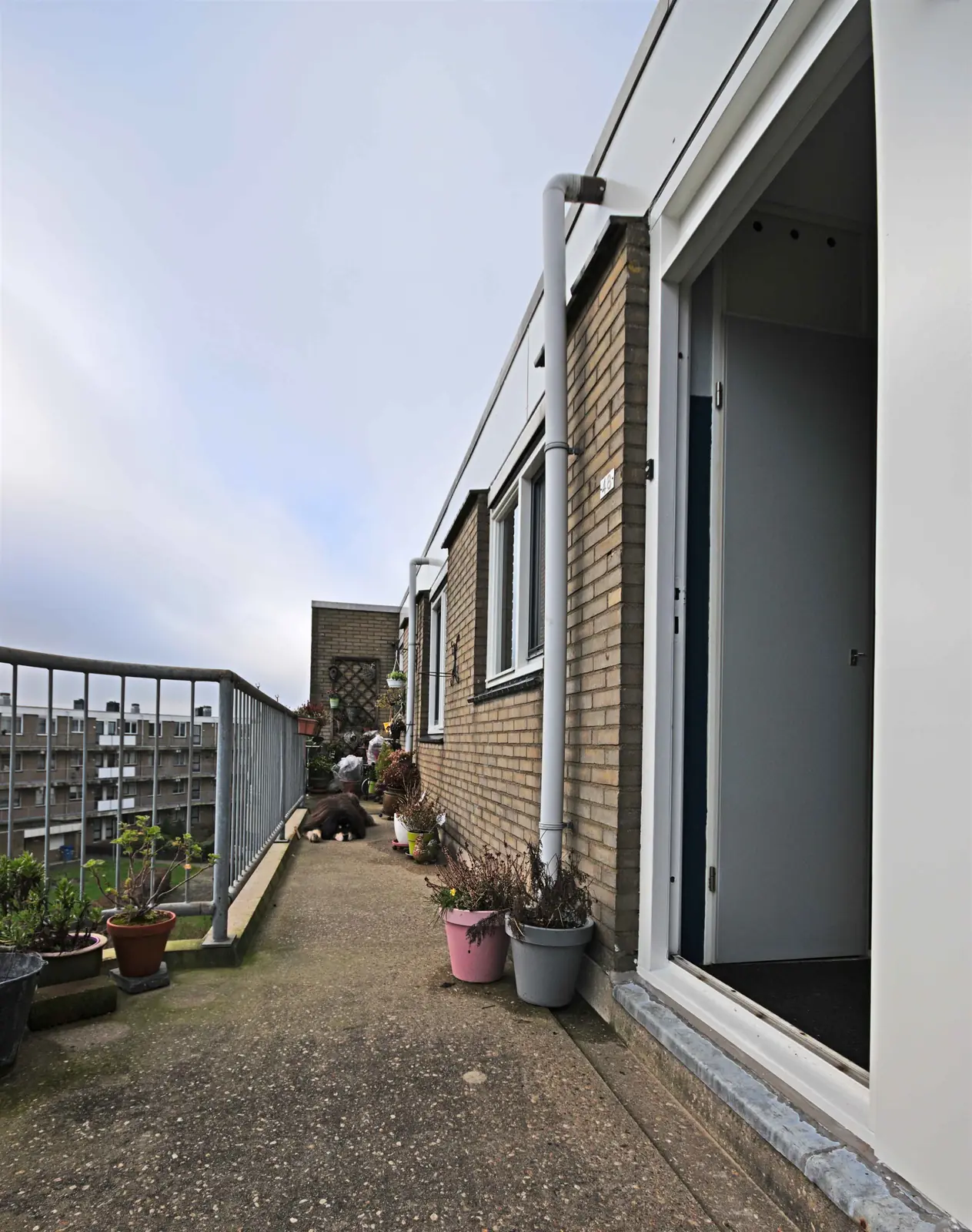 Image 12 of 12