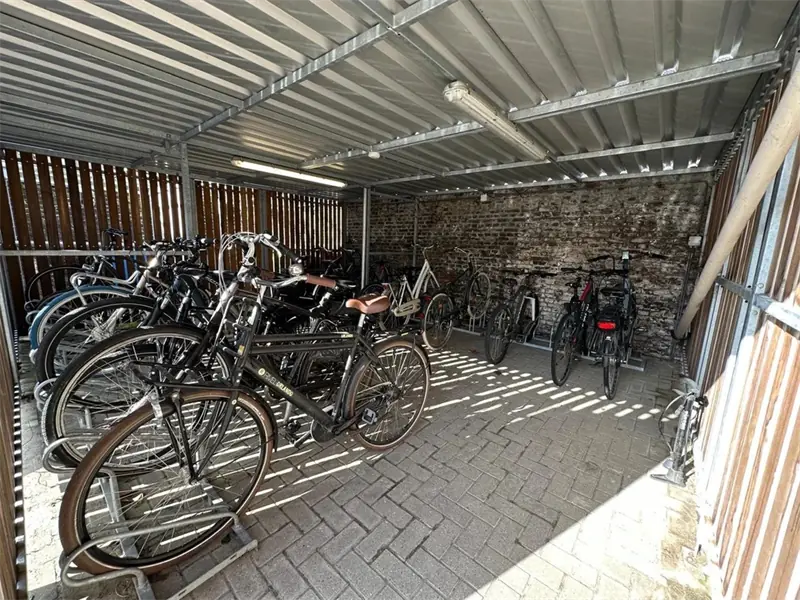 Afbeelding 11 van 11
