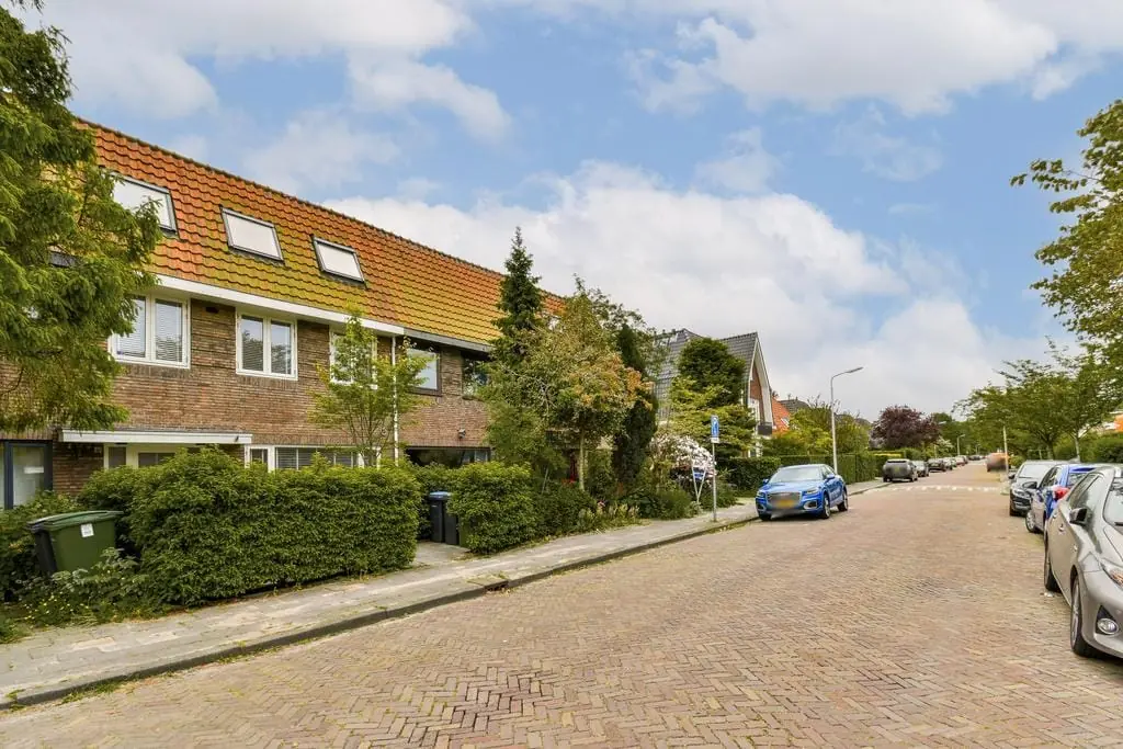 Afbeelding 1 van 15