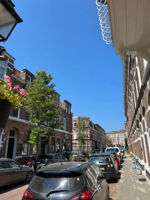 Image 5 of 38
