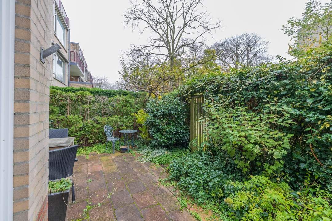 Image 8 of 33