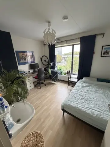 Unmöbliertes Zimmer Rotterdamseweg, Delft - Zu vermieten