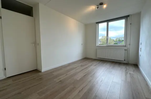 Bild 6 von 11