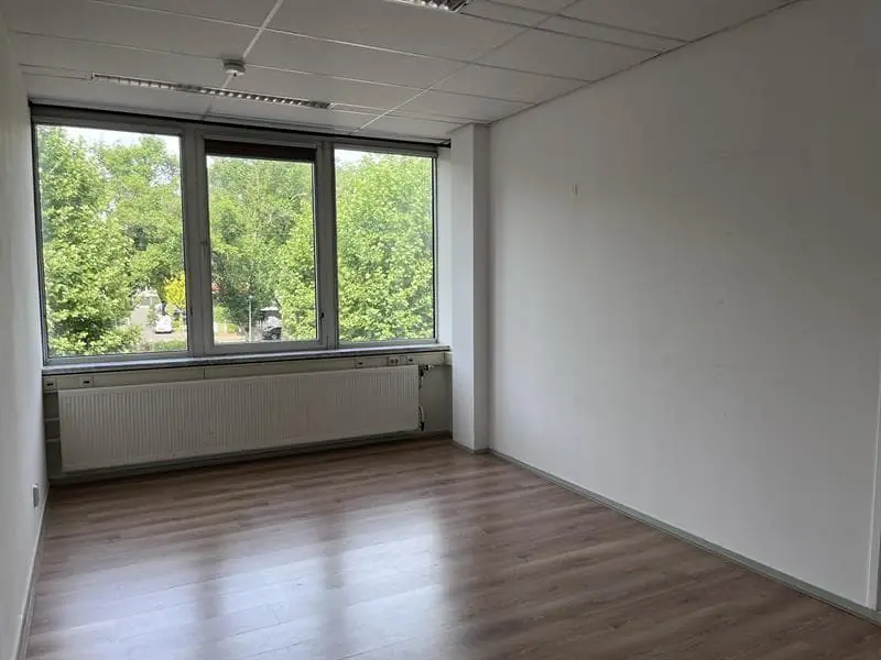 Image 8 of 12