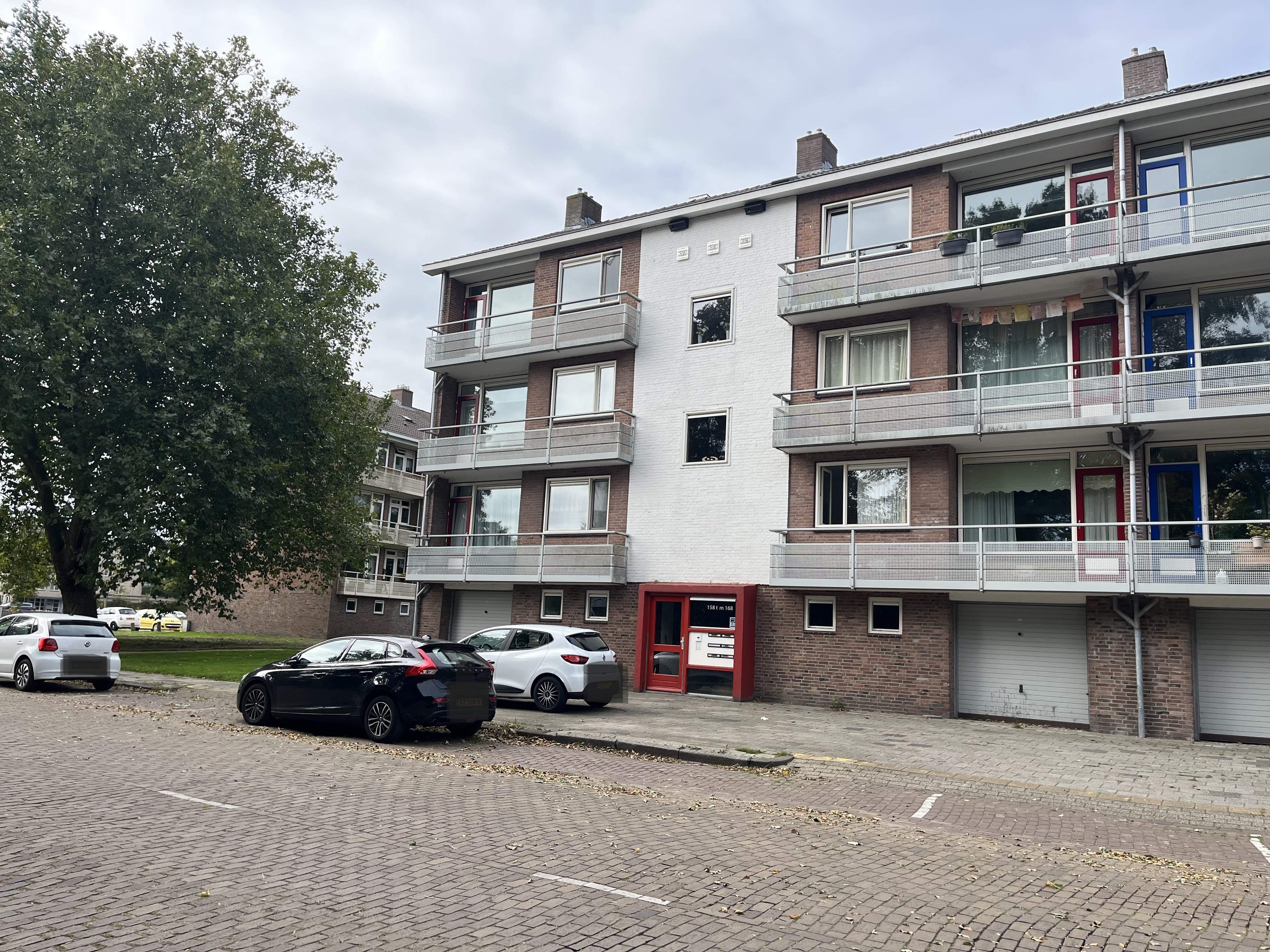 Afbeelding 1 van 1