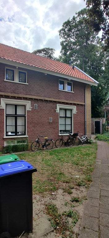 Afbeelding 1 van 13