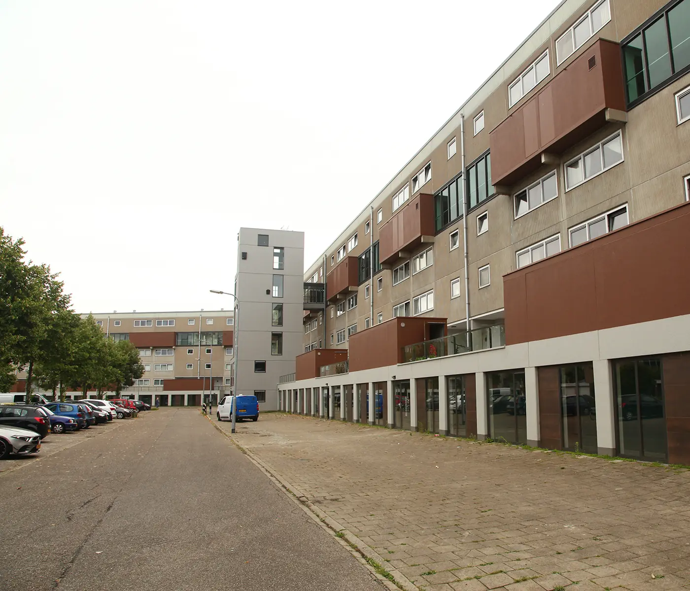 Afbeelding 1 van 1