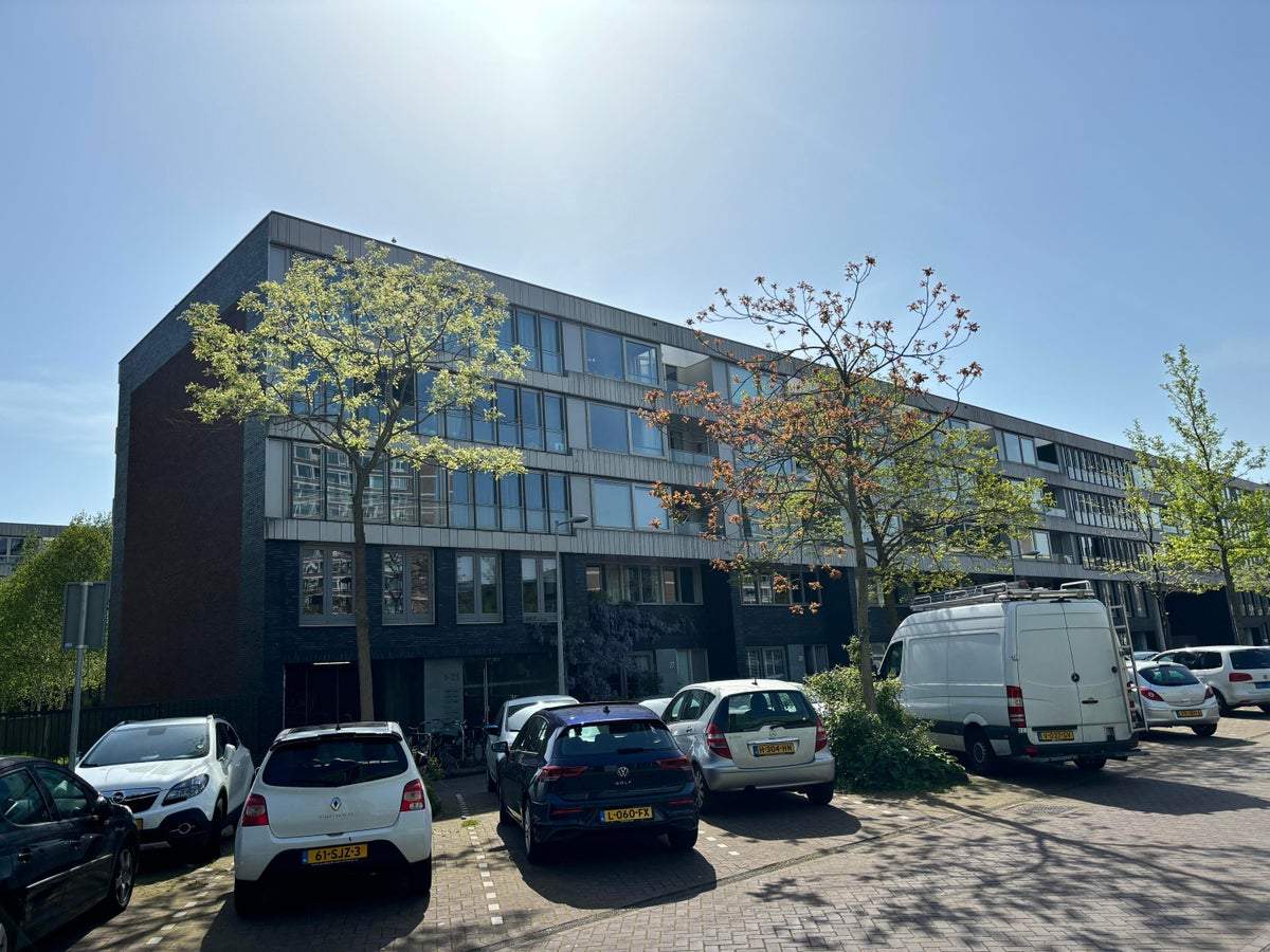 Afbeelding 1 van 36