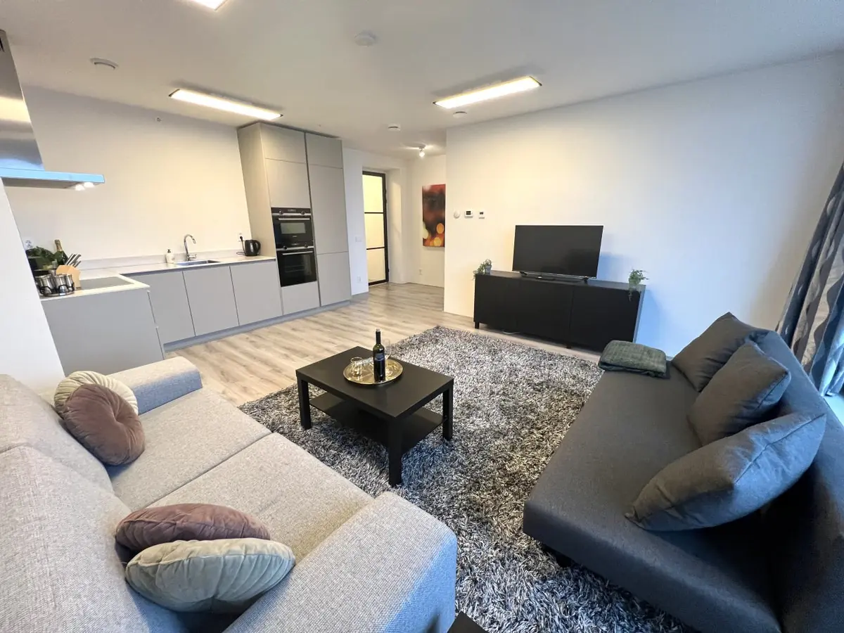 Gemeubileerd 1-slaapkamer appartement Baan, Rotterdam - Te huur