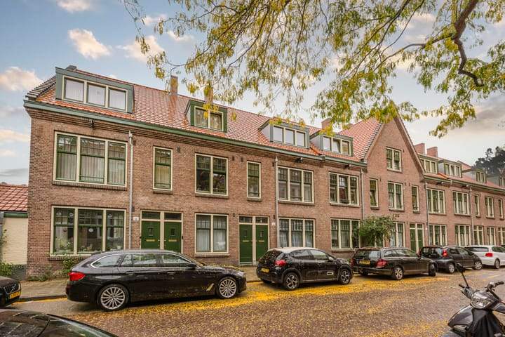 Afbeelding 1 van 15