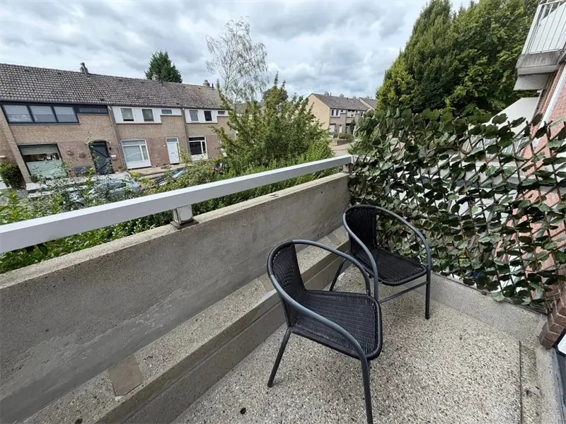 Bild 11 von 11