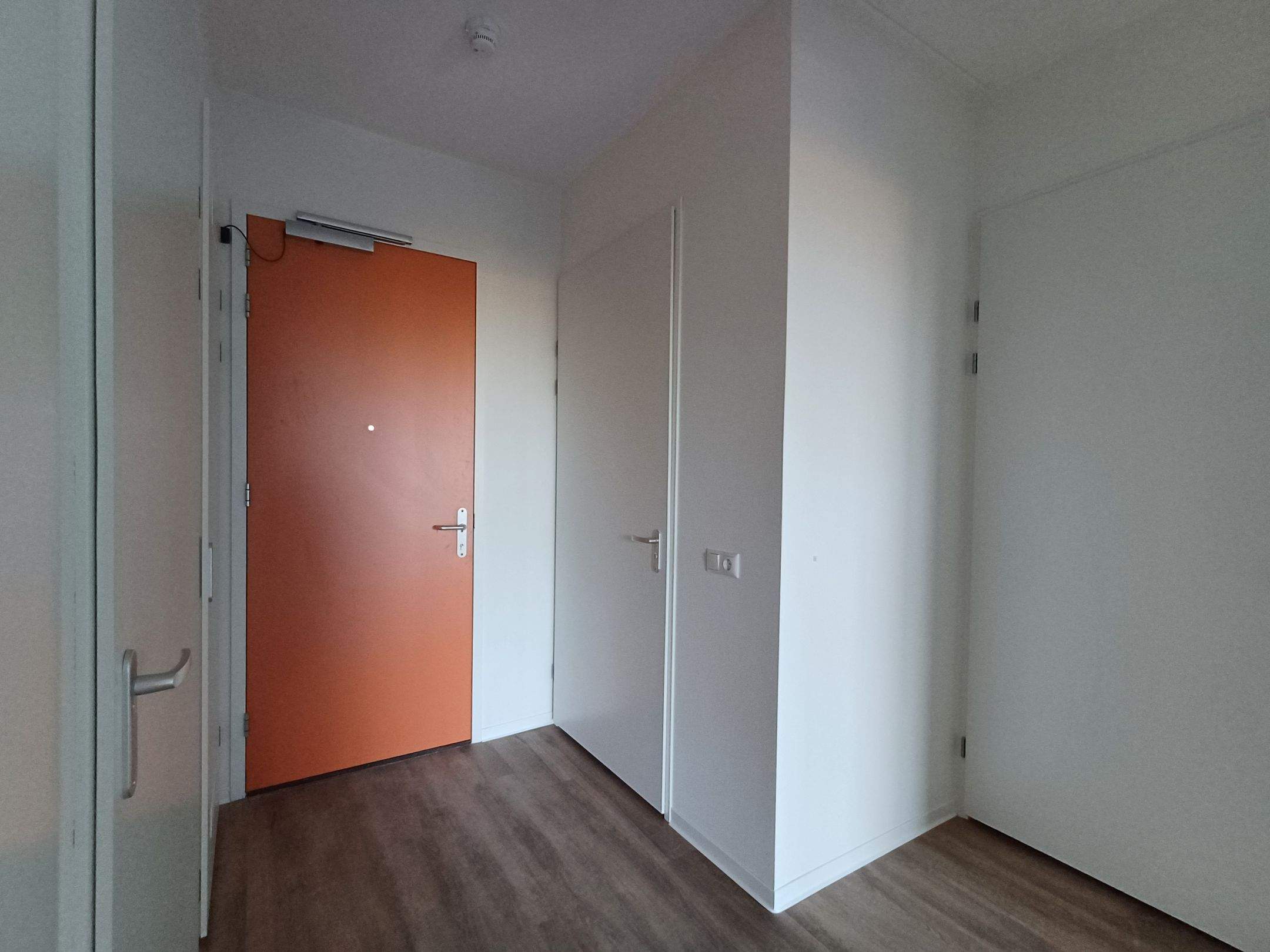Image 6 of 6