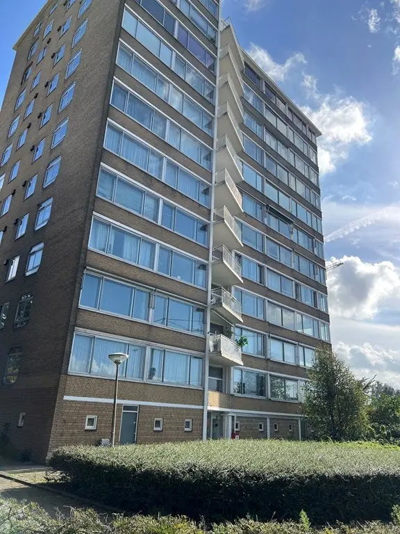 Image 1 of 13