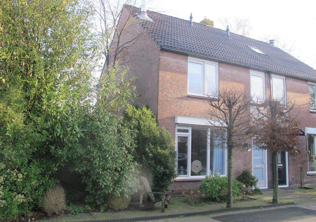 Afbeelding 1 van 12