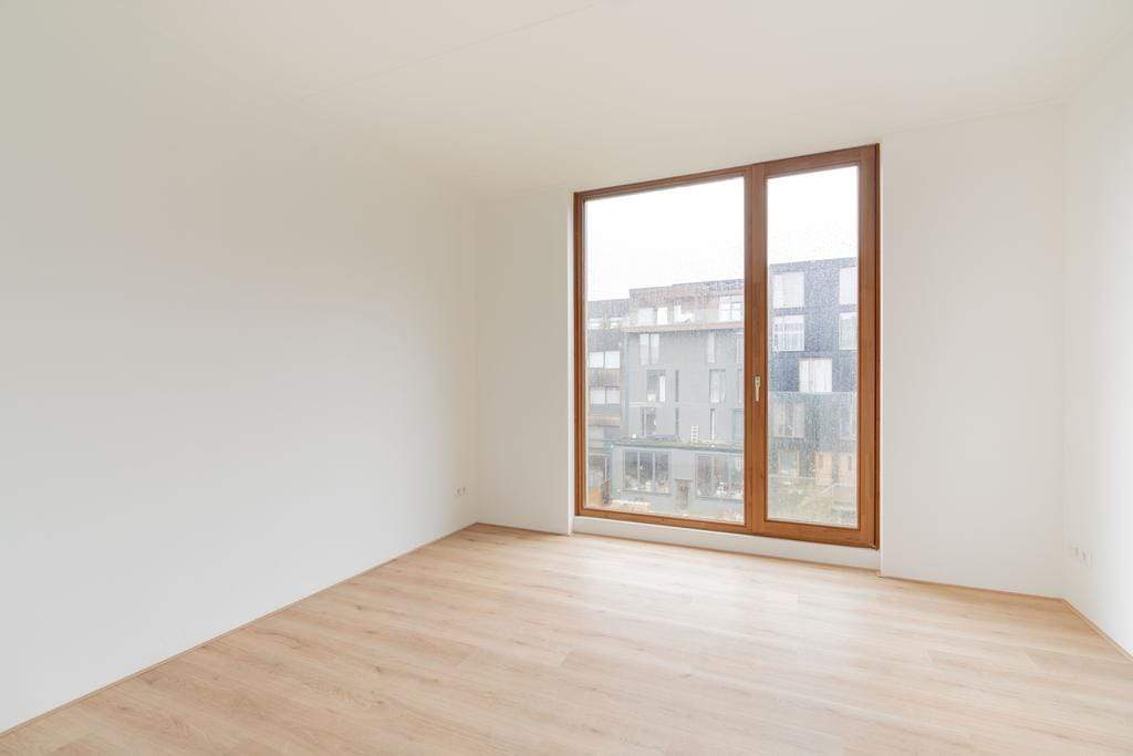 Bild 13 von 37