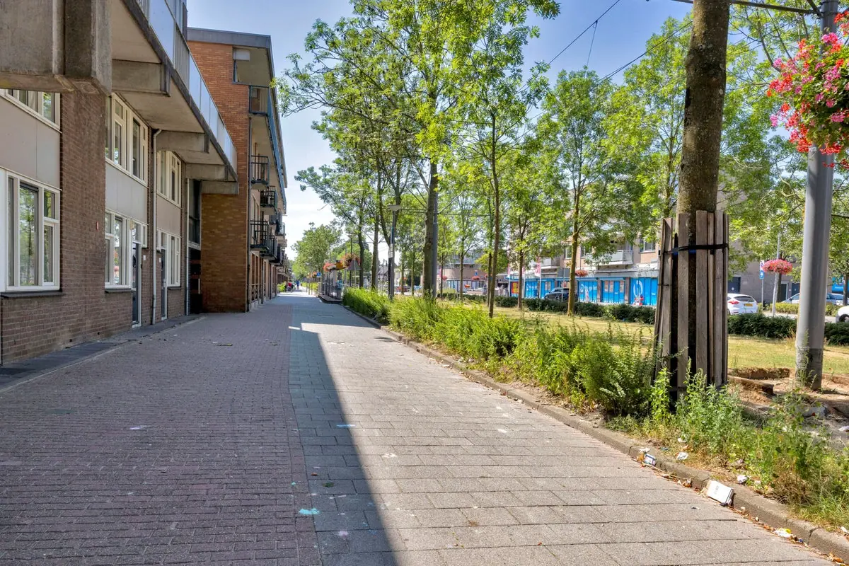 Afbeelding 27 van 30