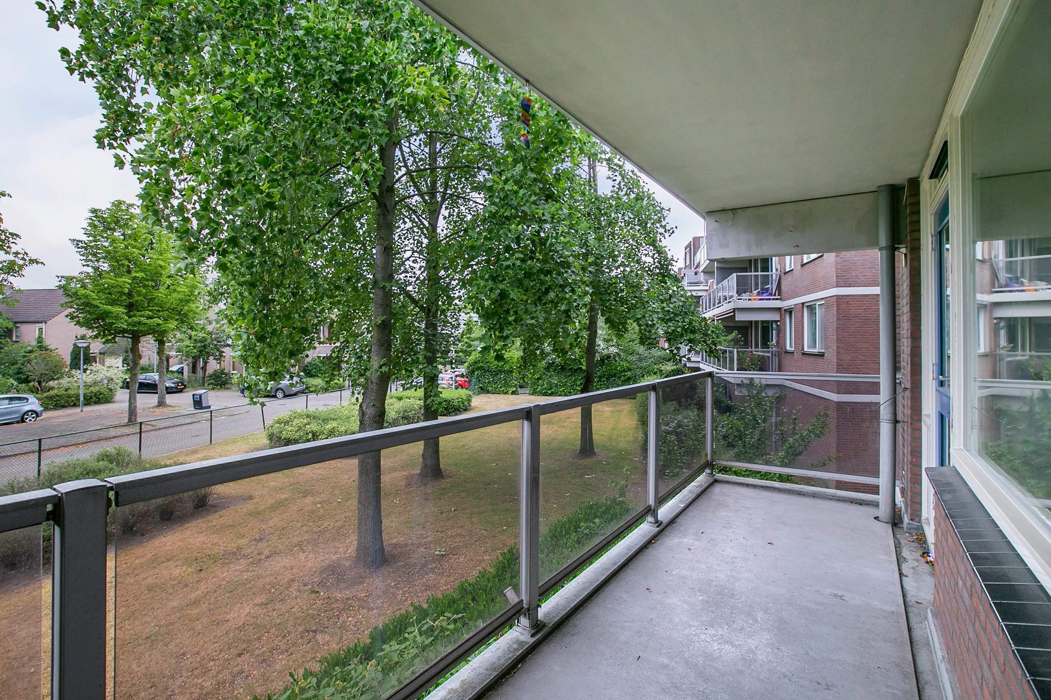 Image 6 of 14