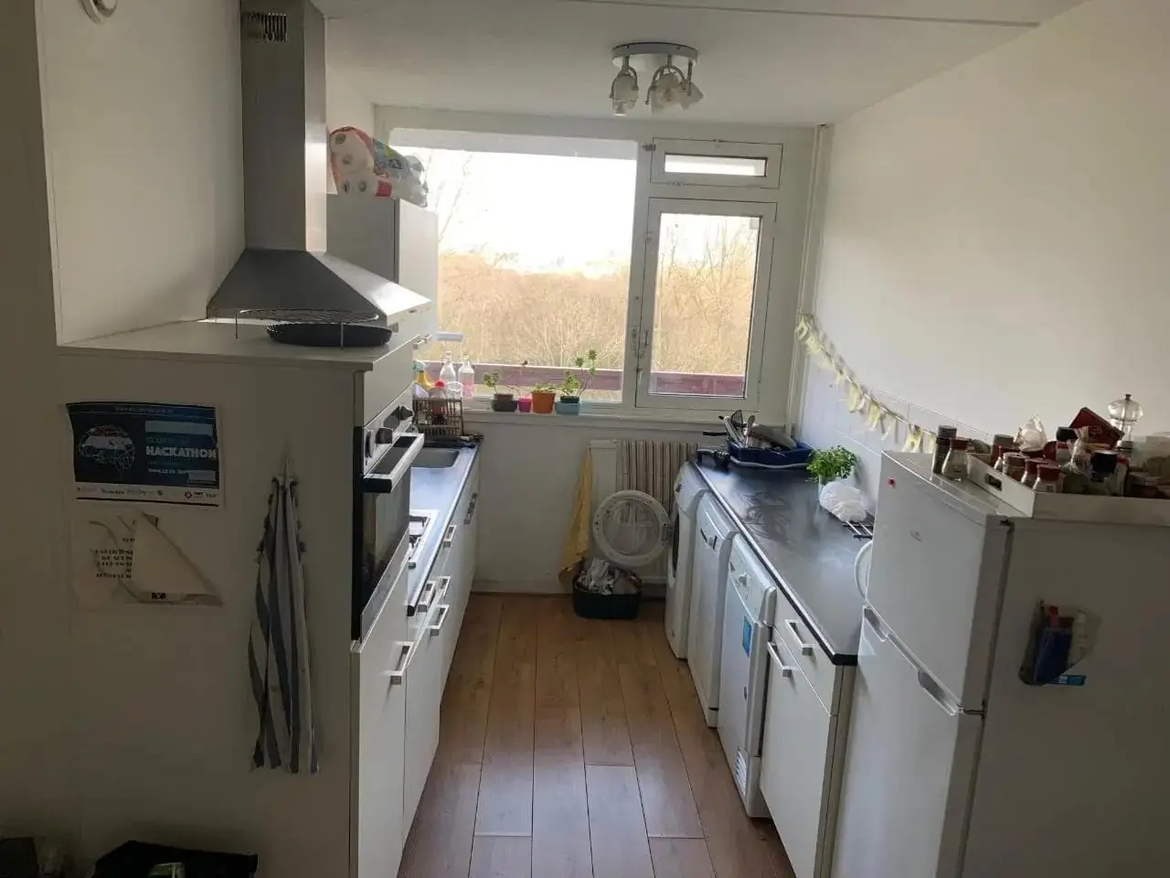 Image 4 of 7