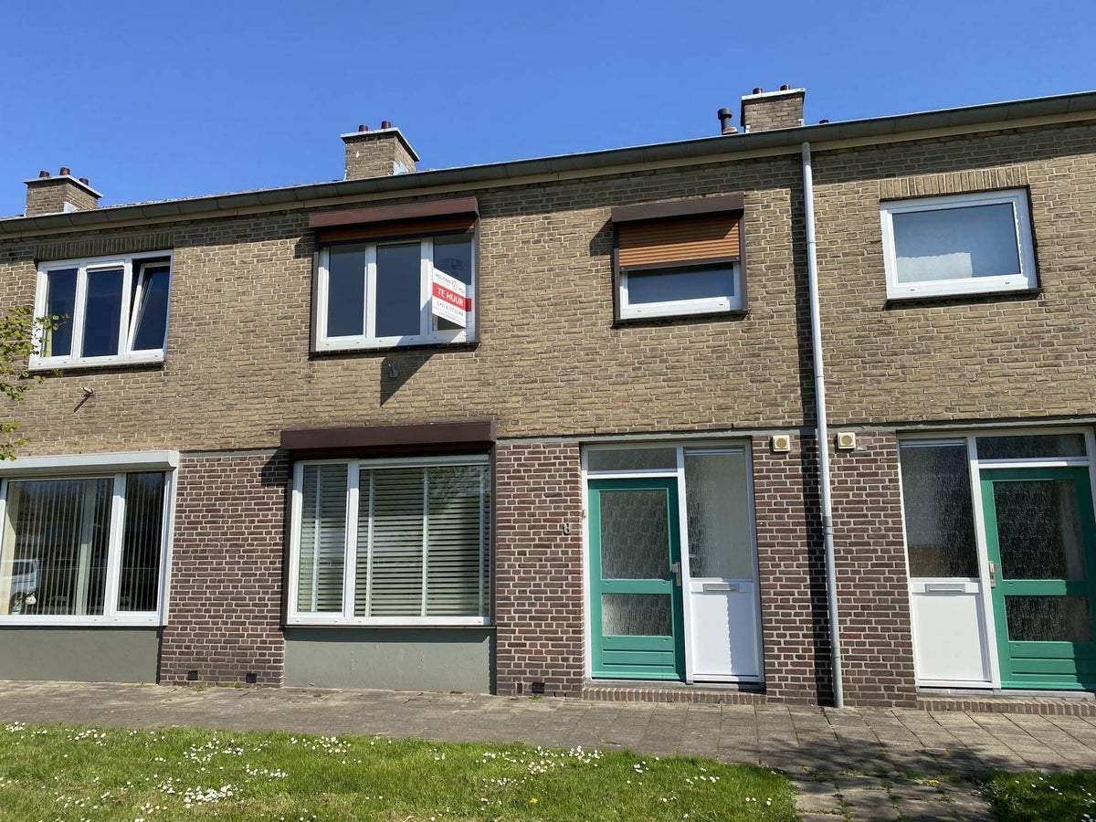 Afbeelding 1 van 13