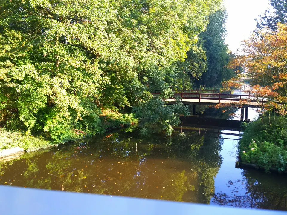 Image 19 of 20