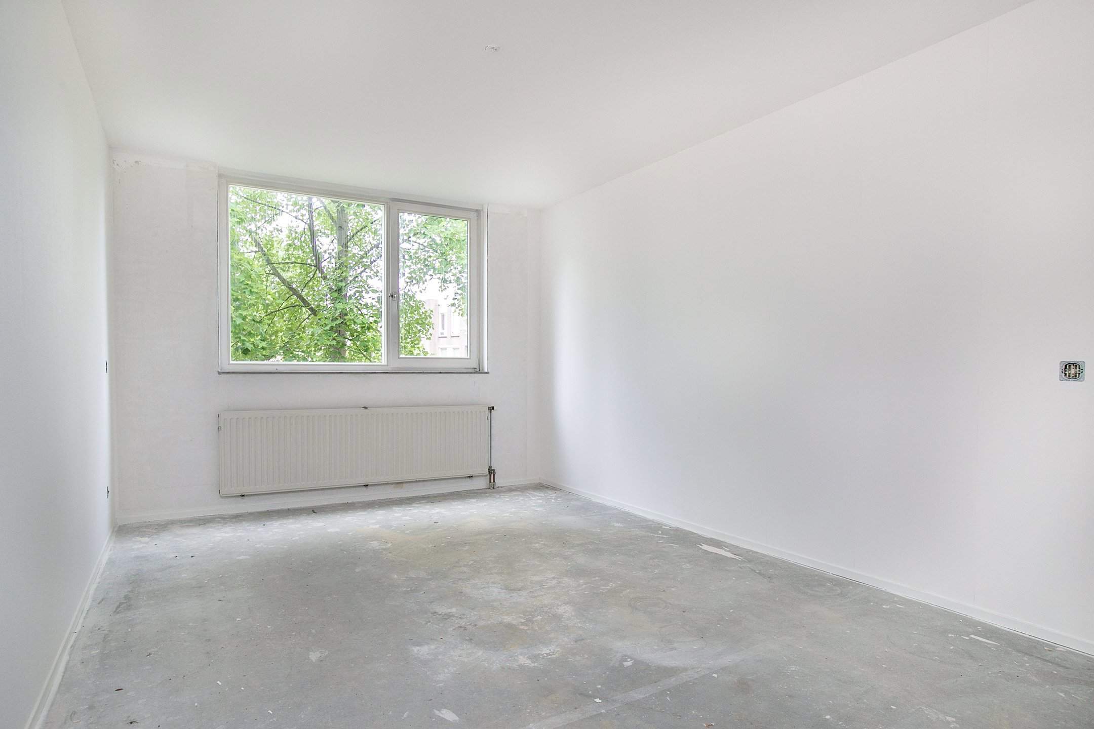 Image 7 of 14
