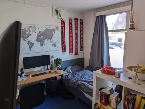 Habitación Borstelweg, Enschede - En Alquiler