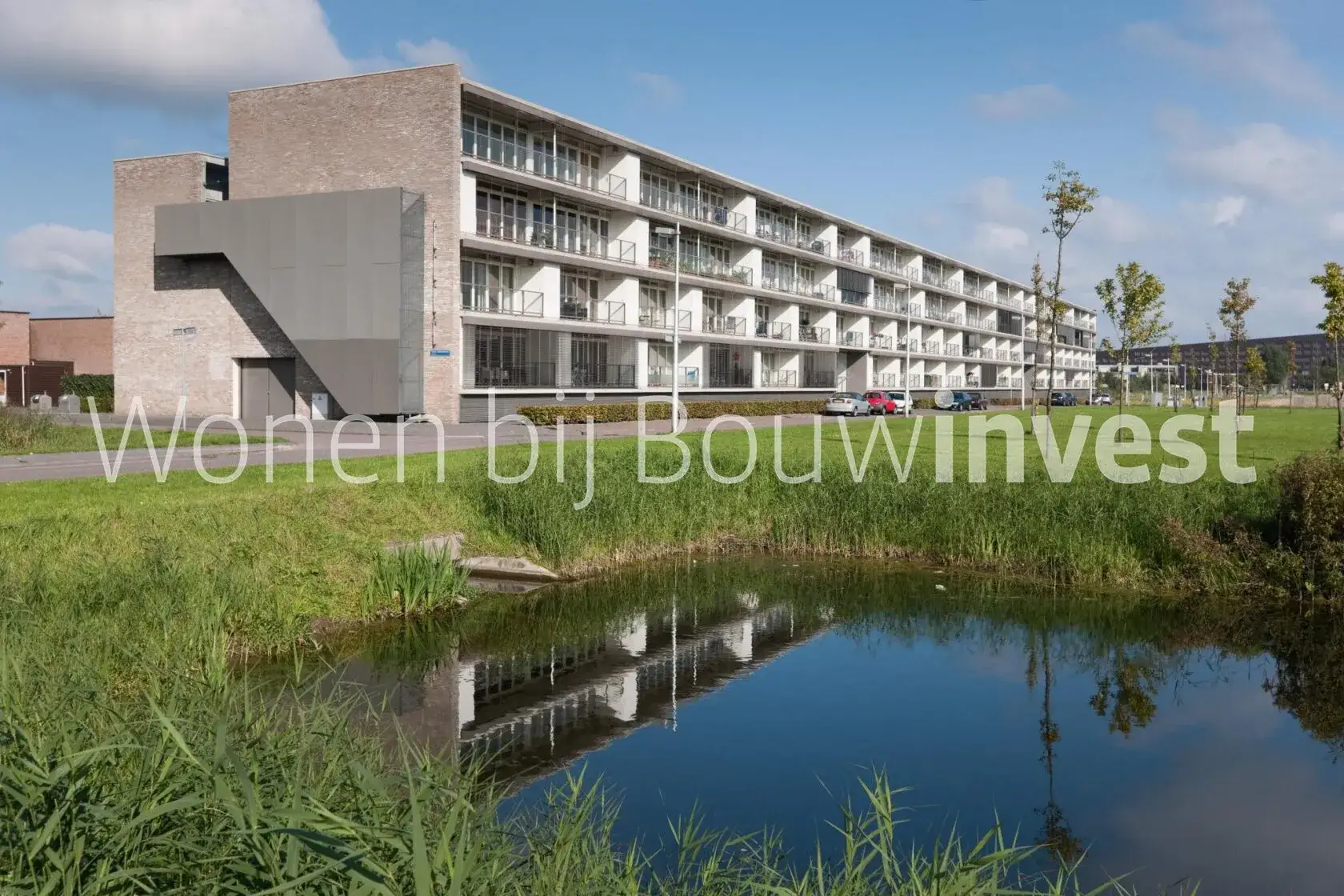 Afbeelding 4 van 11