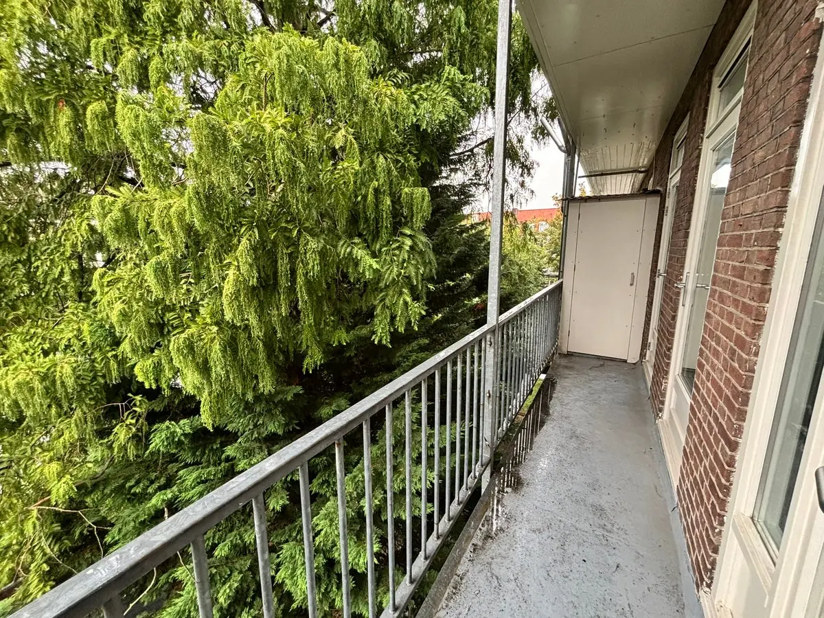 Image 10 of 16