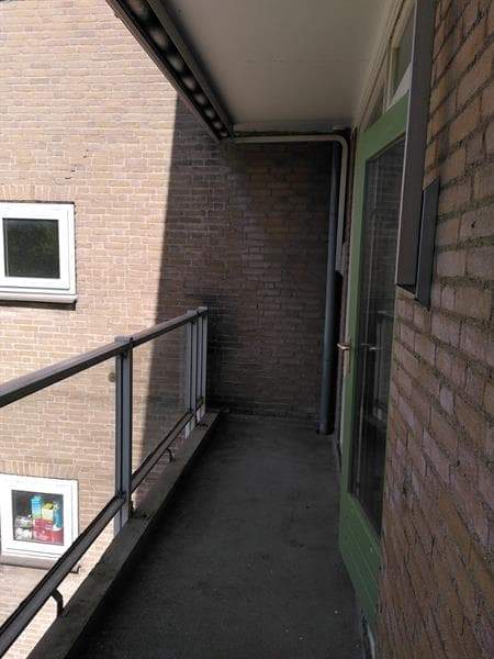 Afbeelding 14 van 16