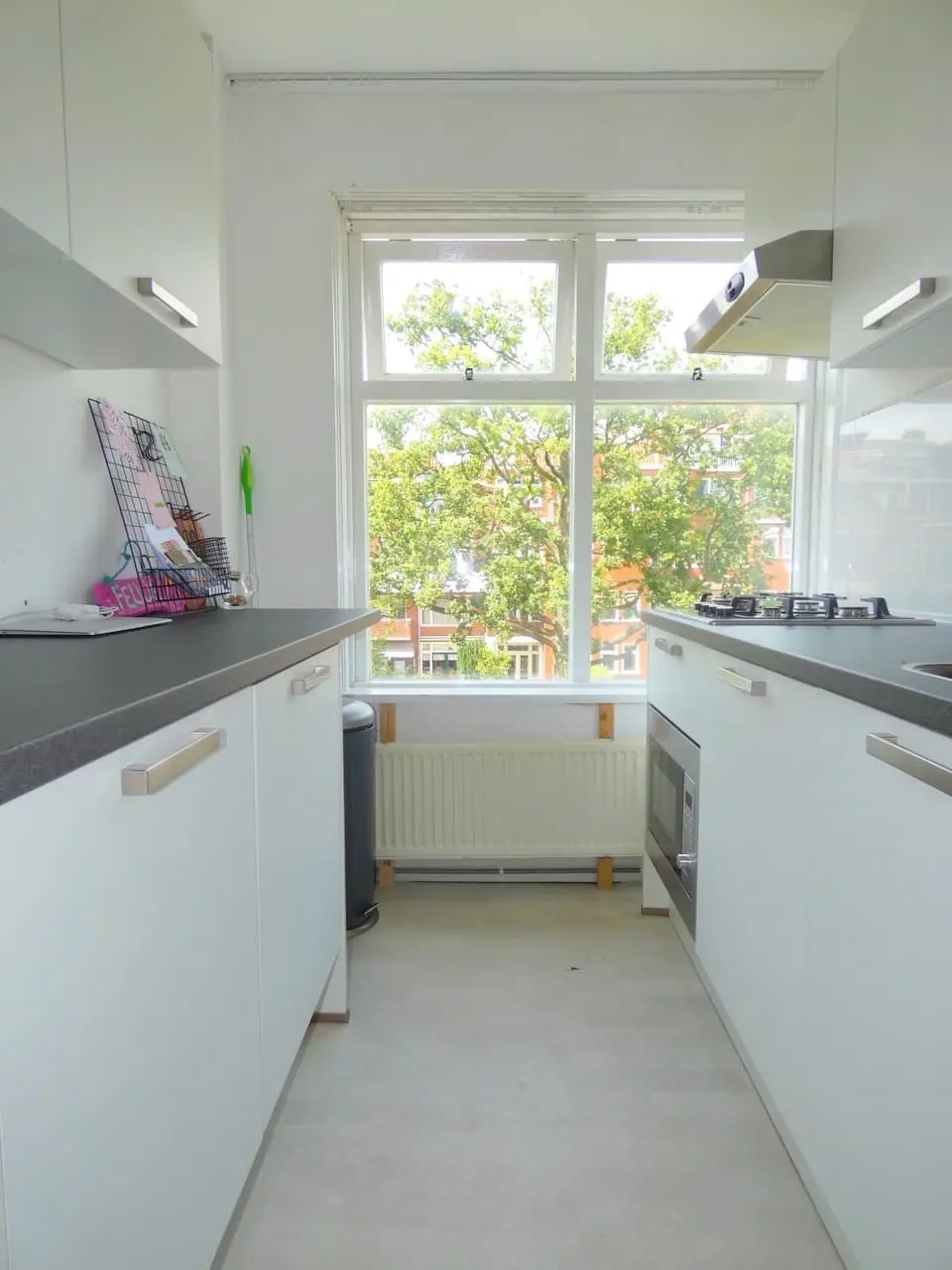 Imagen 4 de 8