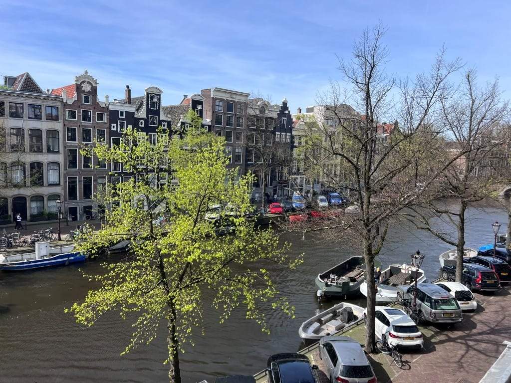 Afbeelding 20 van 38