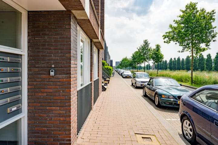 Afbeelding 3 van 24