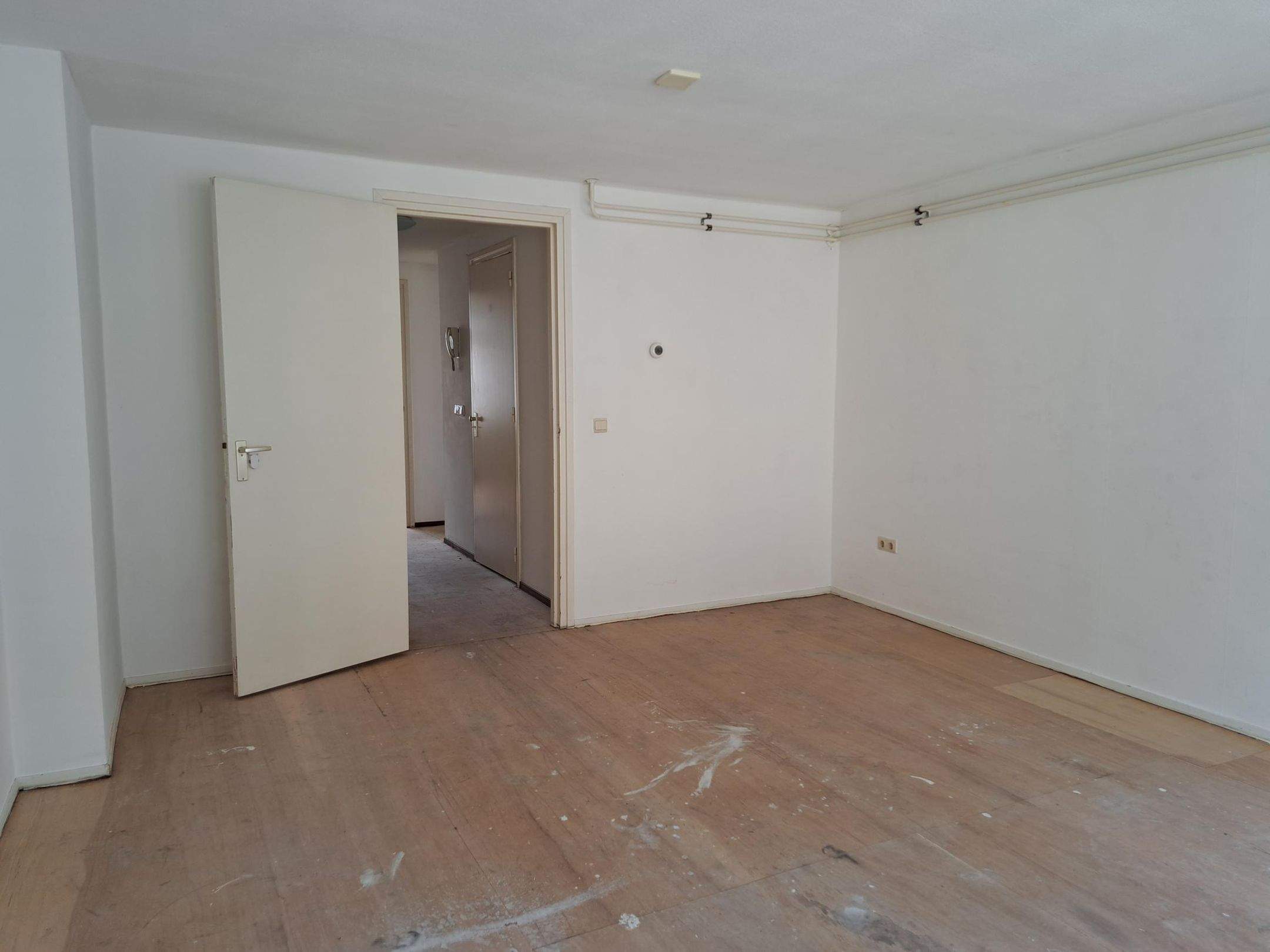 Image 3 of 13