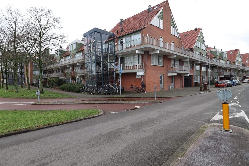 Afbeelding 1 van 12