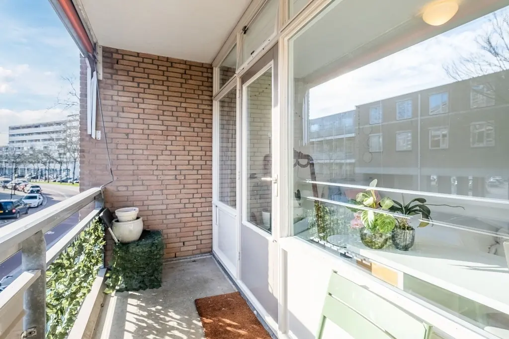 Image 10 of 26