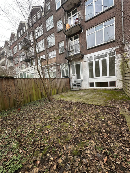 Image 7 of 14