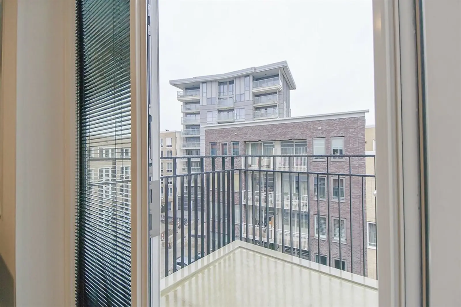 Image 12 of 25